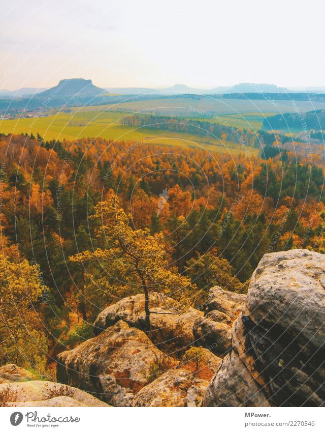 sachsenberge Umwelt Natur Landschaft Schönes Wetter Pflanze Baum Feld Wald Hügel Berge u. Gebirge Erholung Herbst Sächsische Schweiz Aussicht wandern Mischwald