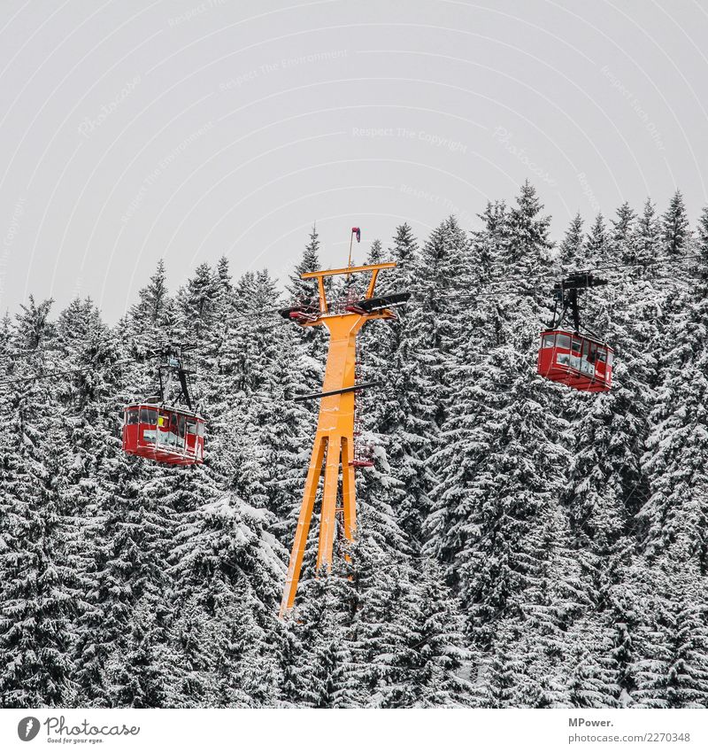 gondelbahn Technik & Technologie Umwelt schlechtes Wetter Schnee Wald Berge u. Gebirge kalt Seilbahn Gondellift Winter Winterurlaub Wintersport Winterstimmung