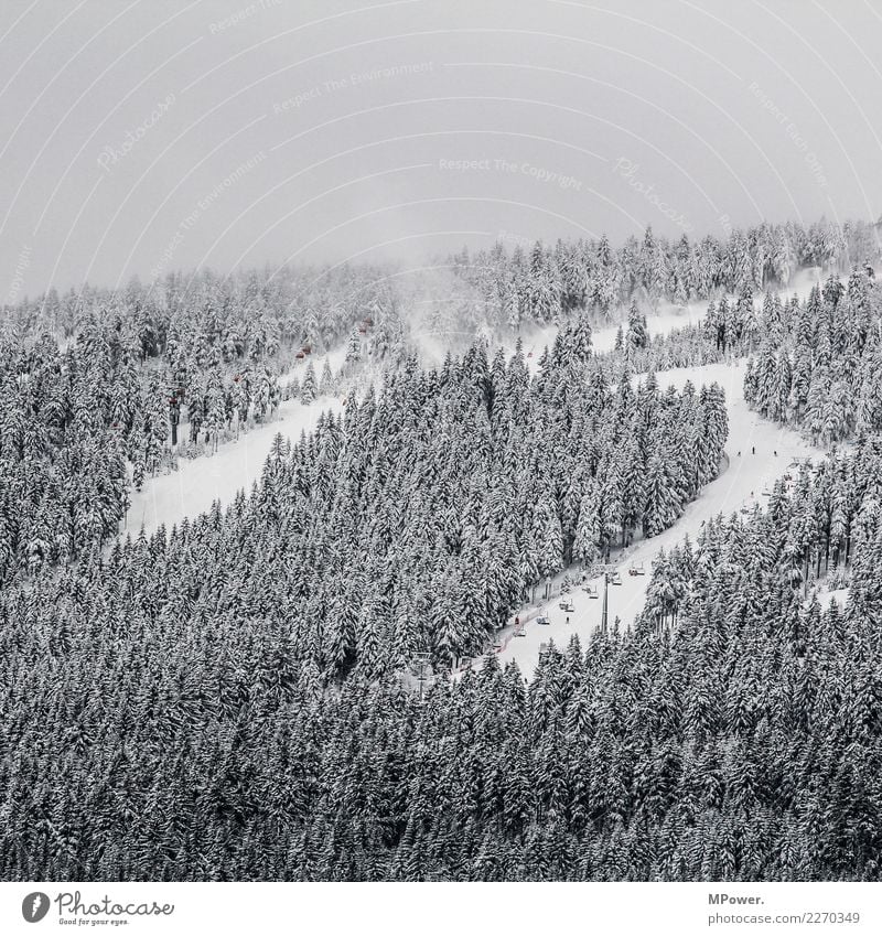 skigebiet Umwelt Wolken Winter schlechtes Wetter Nebel Schnee Wald Berge u. Gebirge kalt Winterurlaub Winterstimmung Skigebiet Skilift Skipiste Farbfoto