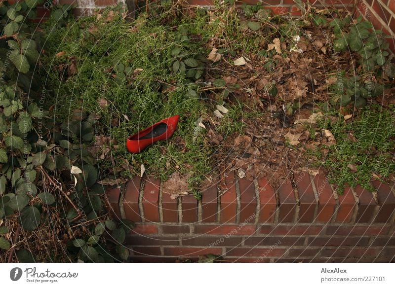Einzelschicksal Sträucher Park Menschenleer Mauer Wand Bekleidung Schuhe Backstein Leder grün rot Einsamkeit verlieren Blatt verloren Farbfoto Außenaufnahme
