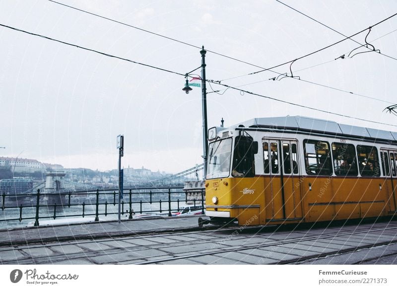 Tram im Budapest Stadt Hauptstadt Verkehr Verkehrsmittel Verkehrswege Personenverkehr Öffentlicher Personennahverkehr Berufsverkehr Bahnfahren