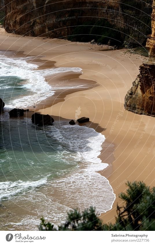 Im Schatten des Apostels. Freiheit Strand Meer Wellen Natur Landschaft Wasser Felsen Küste Australien Sehenswürdigkeit Stein Sand Gesteinsformationen Farbfoto