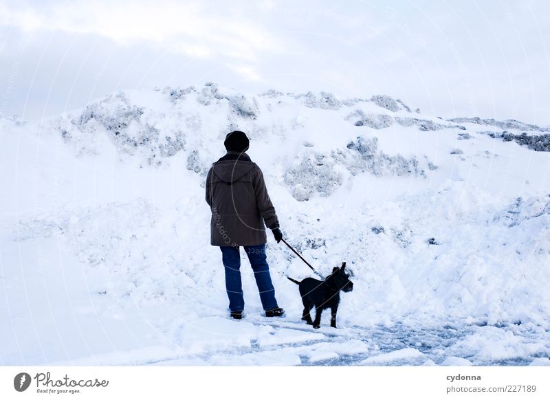 Sackgasse Ausflug Freiheit Winterurlaub Mensch Umwelt Natur Landschaft Eis Frost Schnee Berge u. Gebirge Hund Bewegung Einsamkeit Ende geheimnisvoll Idee Leben