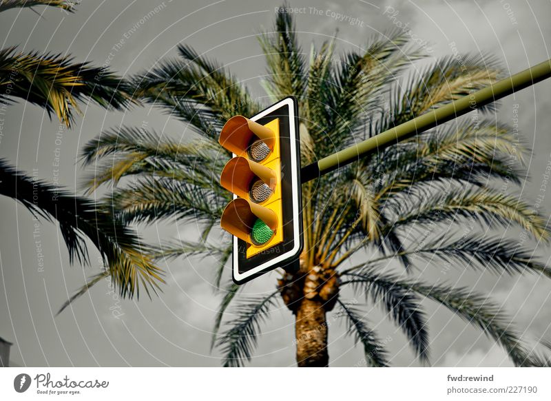 Donnerwetter Insel Sommer Klimawandel Wetter schlechtes Wetter Unwetter Gewitter Mallorca Spanien bedrohlich dunkel Unendlichkeit Wärme Fernweh Beginn Stress