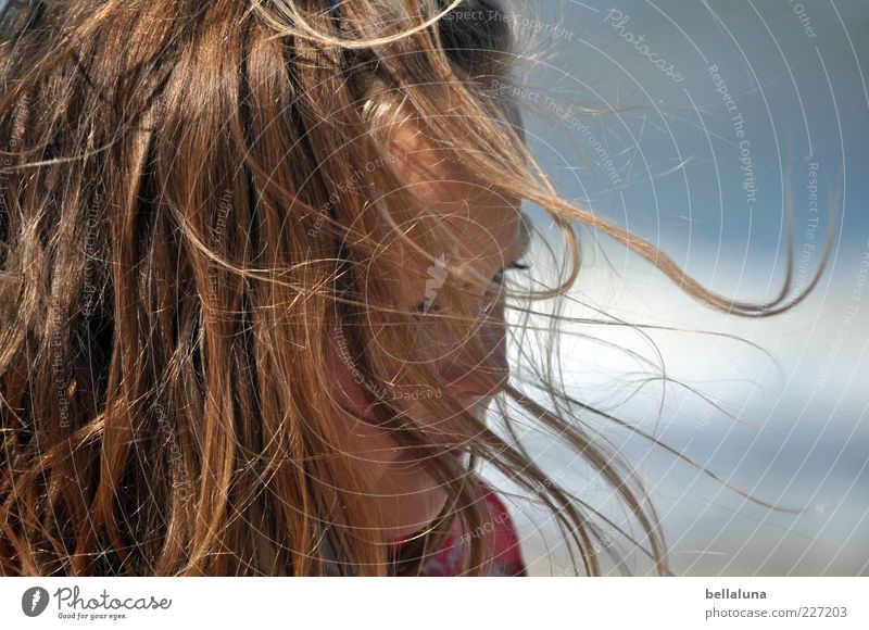 Ganz viel Rückenwind für Fotoline Sommer Schönes Wetter Wind Küste Lebensfreude Mädchen Haare & Frisuren langhaarig Farbfoto Außenaufnahme Nahaufnahme Morgen
