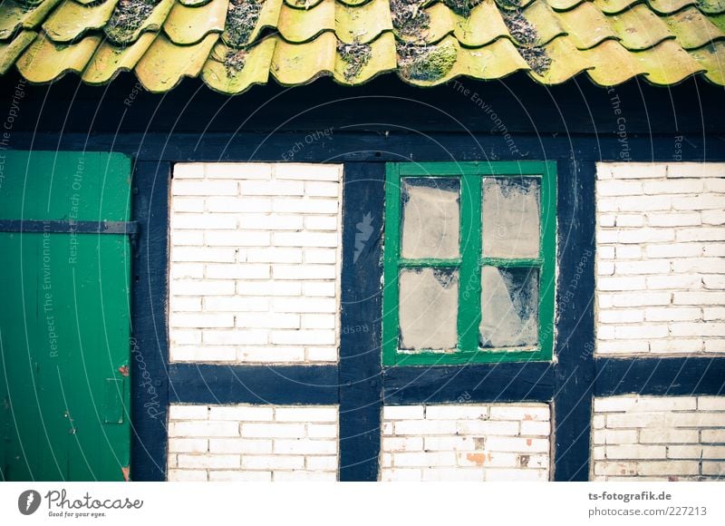 Worpsweder Grüntöne Menschenleer Haus Hütte Bauwerk Gebäude Mauer Wand Fenster Tür Dach alt kaputt grün Farbe Fachwerkfassade Fachwerkhaus Dachziegel Moos