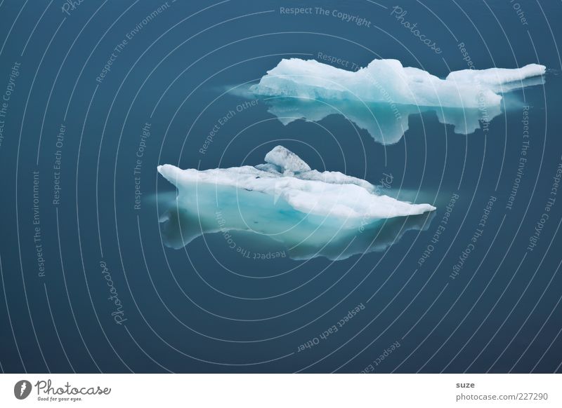 Blues ruhig Meer Umwelt Natur Klima Eis Frost kalt blau Island schmelzen Jökulsárlón Eissee Polarmeer Klarheit Eisscholle Wasseroberfläche Farbfoto