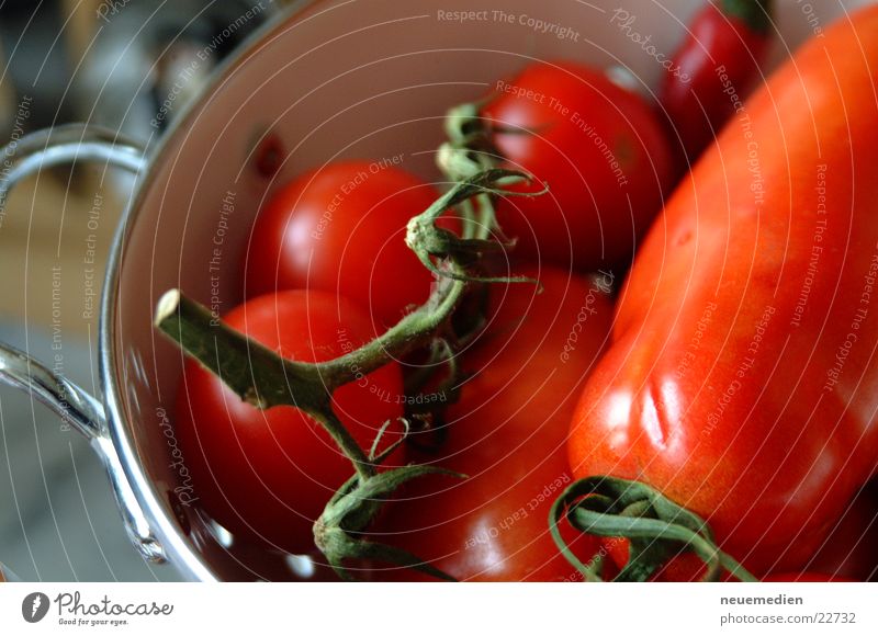 Tomaten Italien rot Gesundheit Pomodoro Makroaufnahme