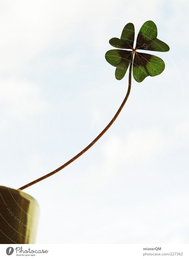 Vom Streben nach Glück... Glücksbringer Glücksklee Klee Kleeblatt Blumentopf Wachstum Ziel streben grün Stengel lang Symbole & Metaphern vierblättrig