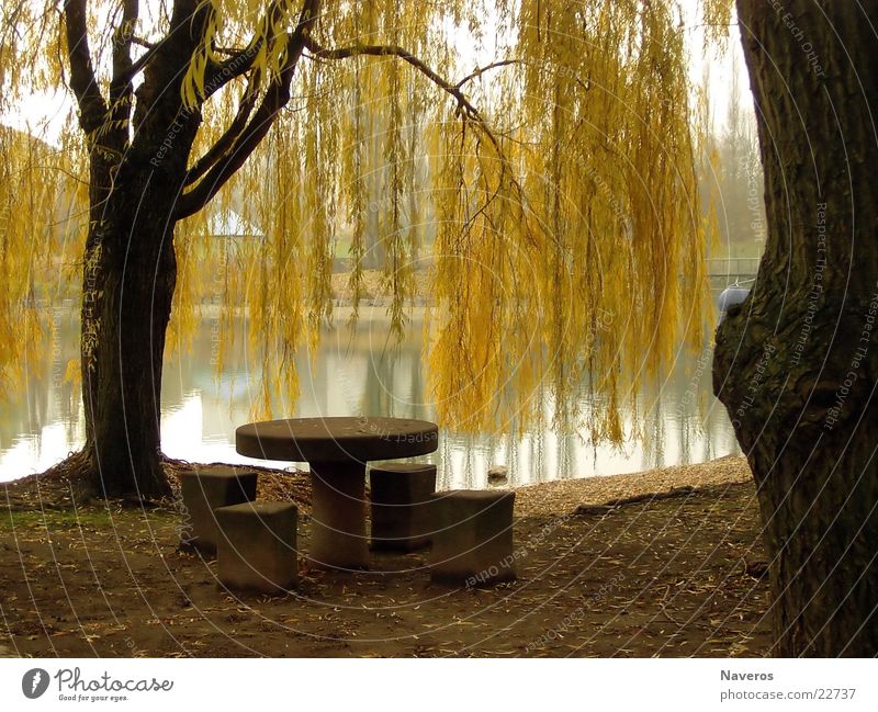 Verlassener Park I Tisch Baum Herbst See Seepark Menschenleer gelb braun Einsamkeit Wasser Natur