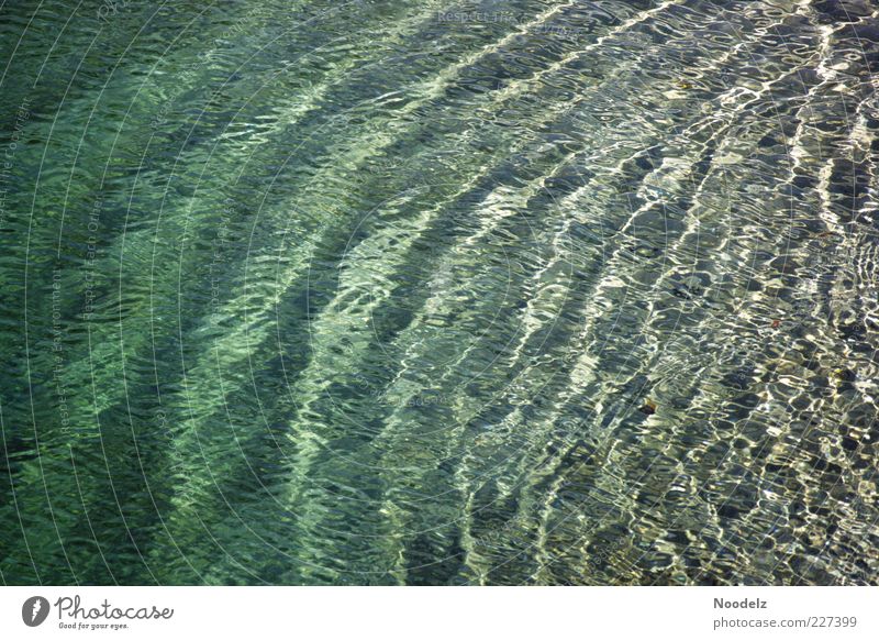 Atmung des Ozeans Umwelt Natur Urelemente Wasser Wellen Meer Ferien & Urlaub & Reisen ästhetisch authentisch fantastisch Flüssigkeit frisch glänzend kalt nass