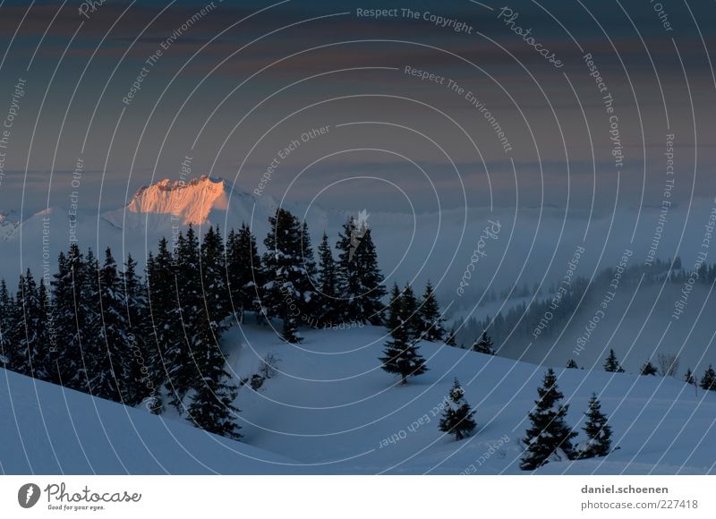 Apres Ski Winter Schnee Klima Schönes Wetter Nebel Eis Frost Alpen Berge u. Gebirge Gipfel Schneebedeckte Gipfel blau ruhig Textfreiraum oben Licht Schatten