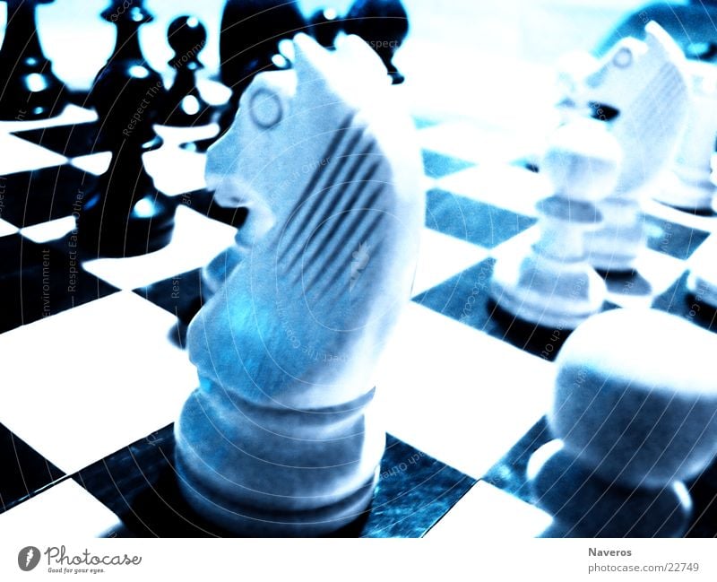 Schachfiguren II Pferd weiß schwarz Spielen planen Brettspiel Freizeit & Hobby Chess Denken Verstand Makroaufnahme