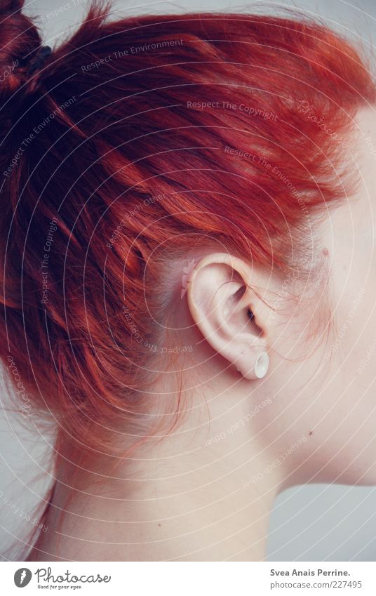 zensiert. feminin Junge Frau Jugendliche Haut Ohr 1 Mensch 18-30 Jahre Erwachsene hören schön rothaarig Zopf Haare & Frisuren Hals Profil Seite Ohrringe