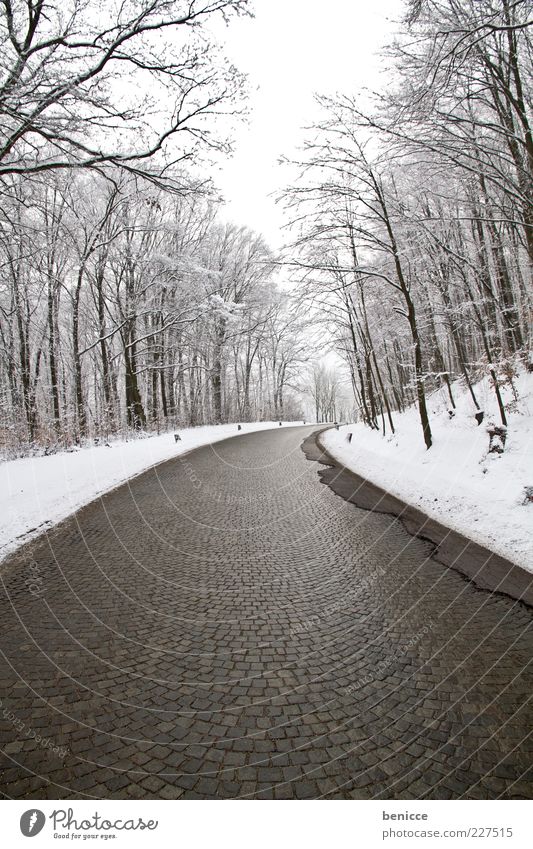 empty Straße Wege & Pfade Winter Wald Schnee kalt Eis gefroren Menschenleer ausdruckslos trist Einsamkeit Hintergrundbild Kurve Verkehr Pflastersteine Glätte