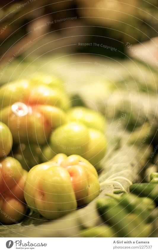 speciality at "the Whistle Stop Cafe" Lebensmittel Gemüse Tomate Ernährung Bioprodukte Vegetarische Ernährung liegen frisch glänzend rund saftig grün