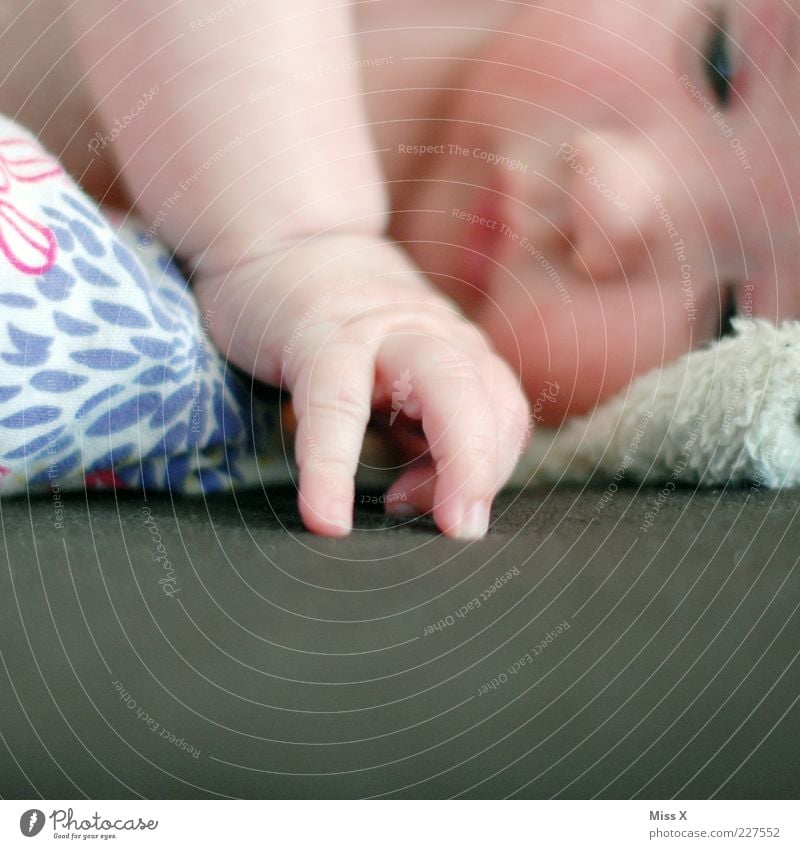 Loisl Mensch Baby Kindheit Hand 1 0-12 Monate lernen klein Geborgenheit Warmherzigkeit Beginn entdecken berühren Bett Babybett Finger greifen neugeboren Stoff