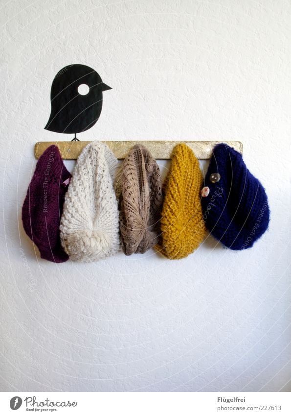 Der frühe Vogel kann Mütz mal! Mütze hängen Accessoire Wand Bekleidung mehrfarbig Tier Wandtattoo kalt aufhängen Dekoration & Verzierung Wollmütze