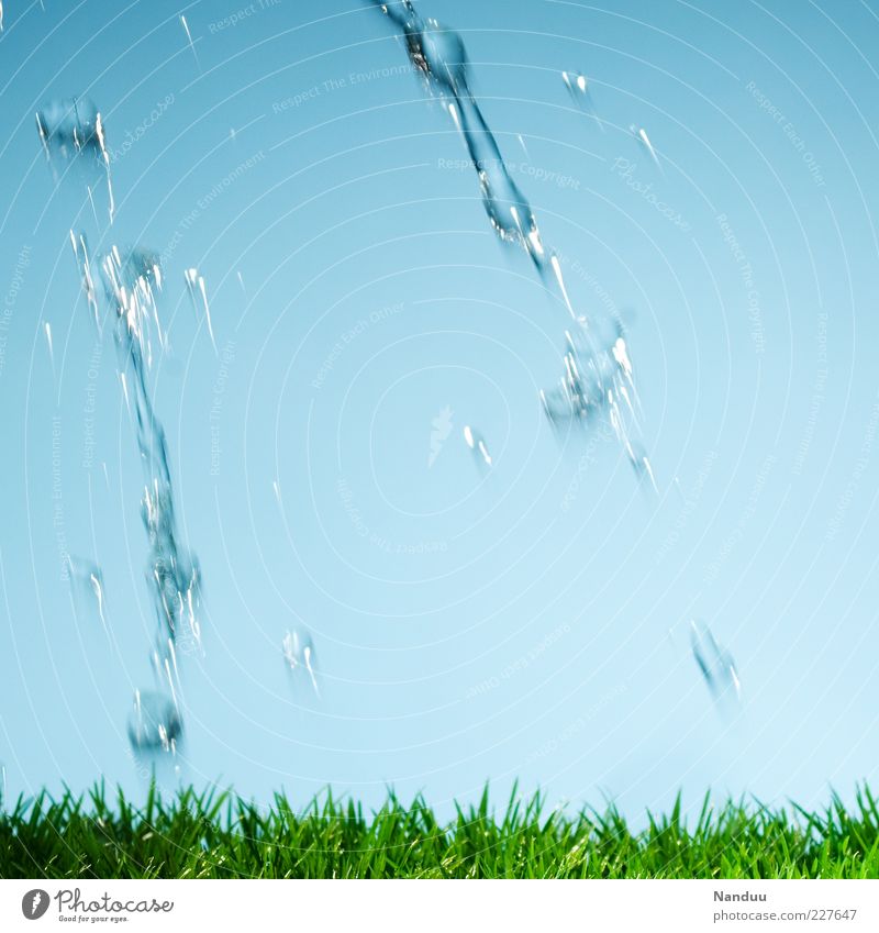 platsch. Natur Gras frisch Kunstrasen Wasser spritzen gießen Tropfen Bewegungsunschärfe Wassertropfen Wolkenloser Himmel Dynamik Farbfoto Studioaufnahme