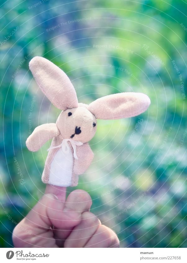 Mein Name ist Hase.... Spielen Handarbeit Feste & Feiern Ostern Osterhase Spielzeug Stofftiere Dekoration & Verzierung Hase & Kaninchen Fingerpuppe Fröhlichkeit