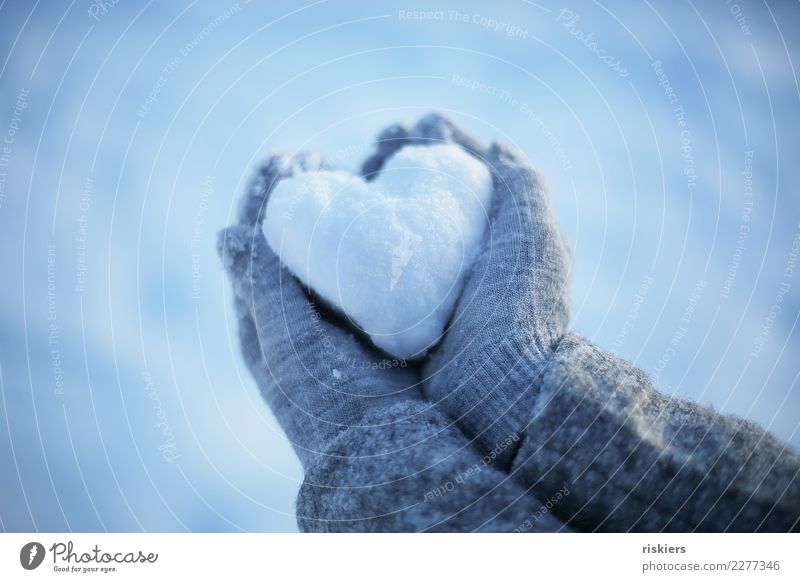 Schneeherz Mensch Hand Winter Schönes Wetter Handschuhe festhalten blau grau weiß Glück Lebensfreude Liebe Herz Farbfoto Außenaufnahme Sonnenlicht