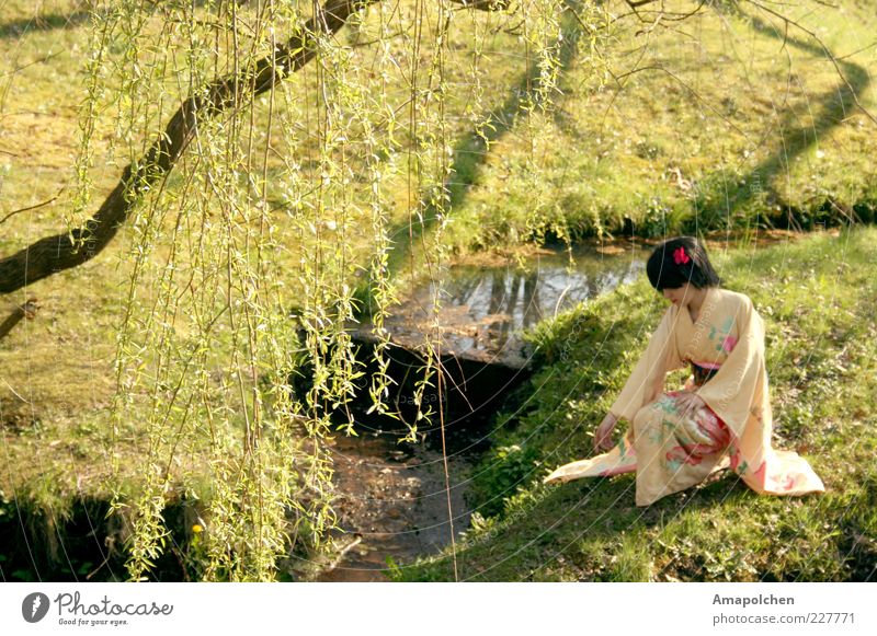 ::11-3:: Kunst Kunstwerk Gemälde Tanzen Tänzer Kultur Glück Ehre Tapferkeit Japan Kimono Asien Gastronomie Tradition Garten Park Natur Ursprung Frau Kleid
