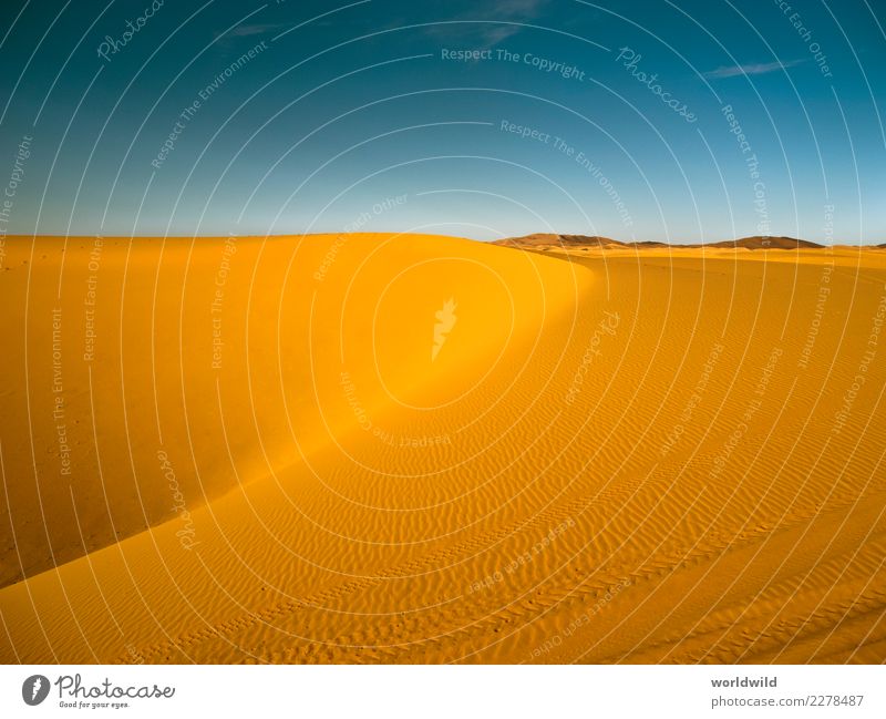 Erg Chebbi Wüste Natur Landschaft Sand Wolkenloser Himmel Sonne Sonnenaufgang Sonnenuntergang Sommer Schönes Wetter Ferien & Urlaub & Reisen wandern exotisch
