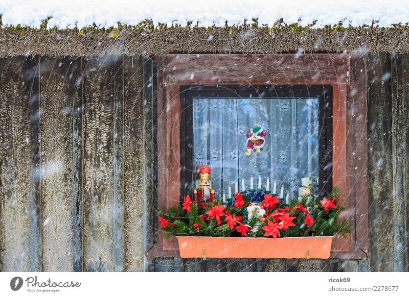 Weihnachtlich geschmücktes Fenster im Winter Erholung Ferien & Urlaub & Reisen Haus Dekoration & Verzierung Weihnachten & Advent Natur Klima Wetter Gebäude