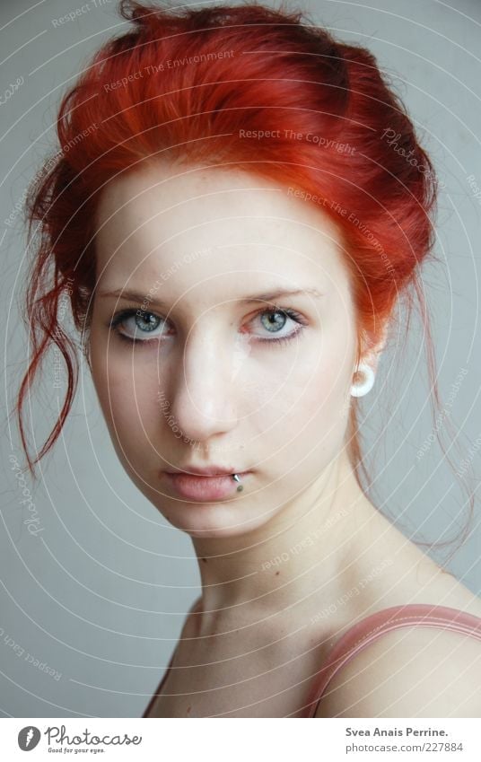 klarheit. feminin Junge Frau Jugendliche Haare & Frisuren Gesicht 1 Mensch 18-30 Jahre Erwachsene Piercing rothaarig Zopf Blick außergewöhnlich schön