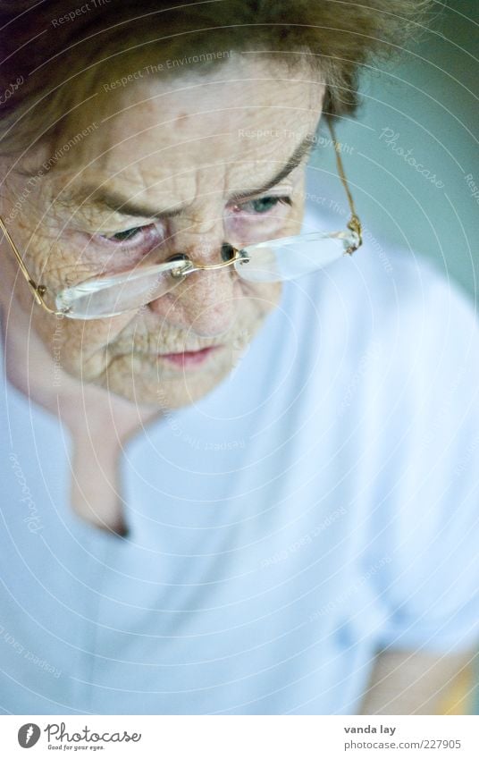 Oma Mensch Frau Erwachsene Weiblicher Senior Großmutter Leben 1 60 und älter Brille Haare & Frisuren brünett alt achtsam Vorsicht Gelassenheit geduldig ruhig