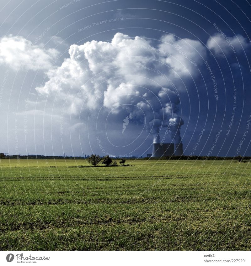 Künstliche Wolken Energiewirtschaft Kohlekraftwerk Umwelt Natur Landschaft Himmel Horizont Klima Schönes Wetter Pflanze Gras Feld Schwarze Pumpe Lausitz