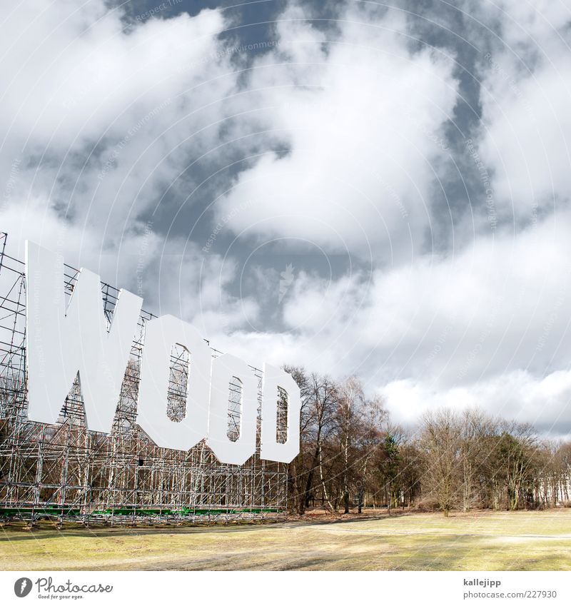 wood stock Umwelt Natur Landschaft Pflanze Himmel Wolken Schönes Wetter Baum Park Wiese Wald Schriftzeichen nachhaltig Umweltverschmutzung Hollywood Kunstwerk