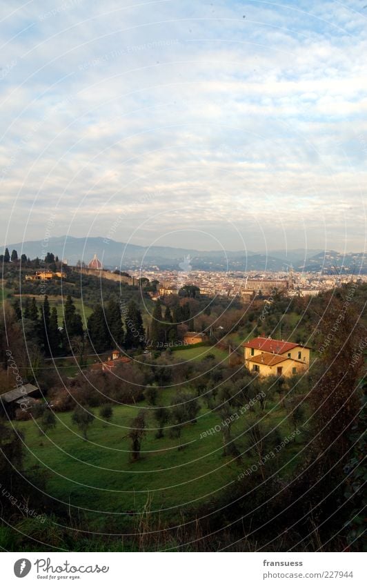 Florenz Natur Landschaft Himmel Hügel Italien Europa Stadt Stadtrand Menschenleer Haus blau grün Zypresse Farbfoto Außenaufnahme Textfreiraum oben Tag Totale