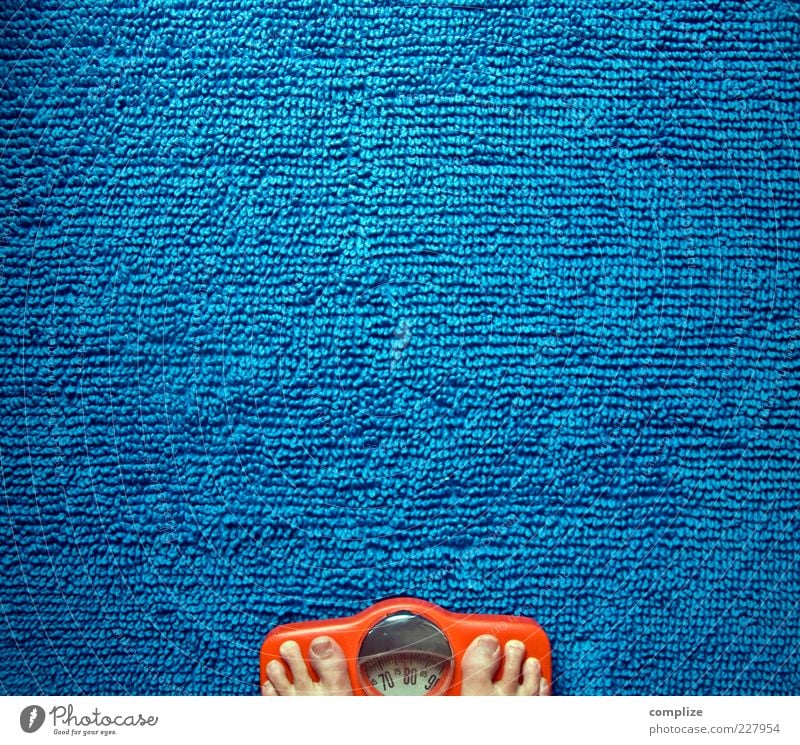 Blaubeer-Diät Gesundheit Übergewicht Wellness Zufriedenheit Waage maskulin Fuß blau einzigartig schön Personenwaage Barfuß Teppich Sorge messen Selbstwertgefühl