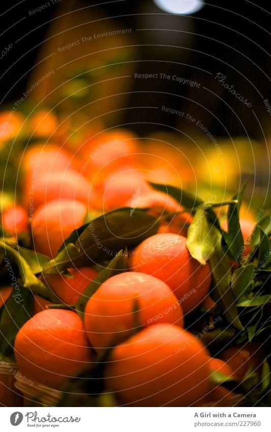 be my clementine Frucht Mandarine Zitrusfrüchte Ernährung Bioprodukte Vegetarische Ernährung Markt Marktstand liegen Gesundheit lecker süß orange reif Vitamin