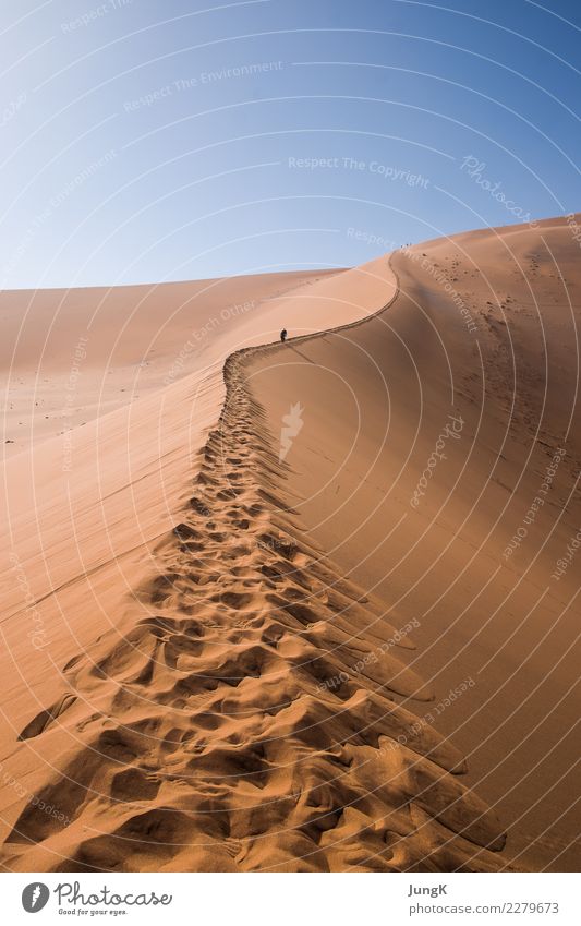 Aufwärts Ferien & Urlaub & Reisen Tourismus Ferne Freiheit Expedition Natur Landschaft Sand Wärme Wüste Namibia Afrika Fußspur wandern selbstbewußt Erfolg Kraft