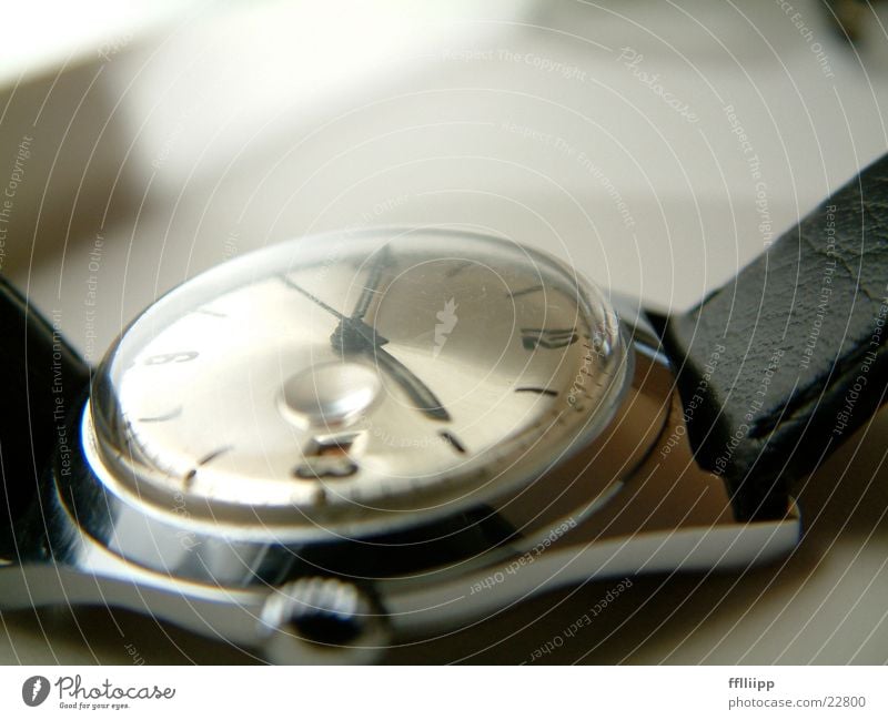 uhr Uhr Zifferblatt Armband Leder Zeit Dinge Makroaufnahme Uhrenzeiger Baumkrone
