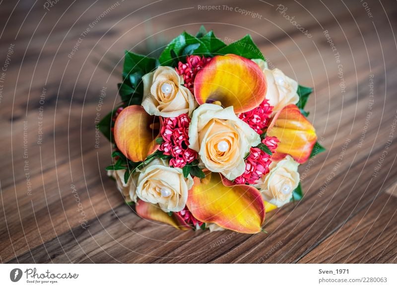 Brautstrauß Stil Dekoration & Verzierung Hochzeit Pflanze Blumenstrauß Wärme mehrfarbig Gefühle Glück Ehrlichkeit Leidenschaft Liebesaffäre Vergänglichkeit