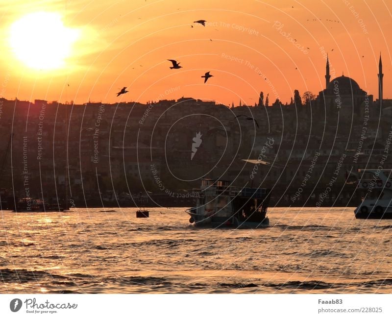 Feierabendverkehr Tourismus Meer Istanbul Türkei Stadt Hauptstadt Skyline Hafen Verkehr Schifffahrt Bootsfahrt Passagierschiff Gesellschaft (Soziologie)