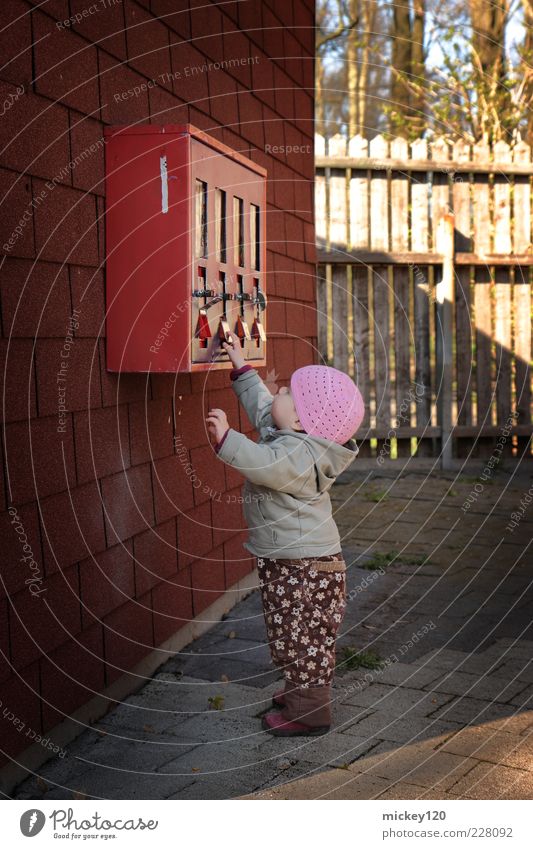 Erstkontakt mit Kaugummiautomat Süßwaren Freude Spielen lernen Mensch Kleinkind Mädchen Kindheit 1 1-3 Jahre Herbst Mauer Wand Hose Pullover Mütze berühren
