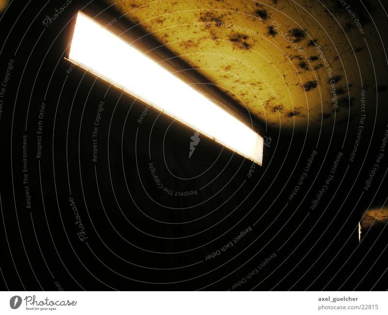Angst dunkel Lampe Licht Fototechnik Unterführung Schimmelpilze hell