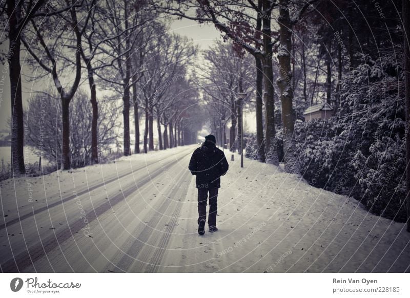 Wandern im Schnee Mensch maskulin Mann Erwachsene 1 45-60 Jahre Umwelt Baum Einsamkeit Straße Gasse Perspektive Symmetrie Schneehöhe weiß schwarz Brennpunkt