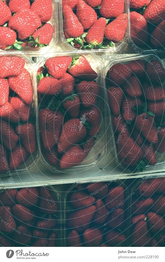 "Greif zu!" Lebensmittel Frucht Dessert Ernährung Bioprodukte Sommer Schönes Wetter lecker süß rot Marktstand Obstkiste Erdbeeren analog fruchtig frisch