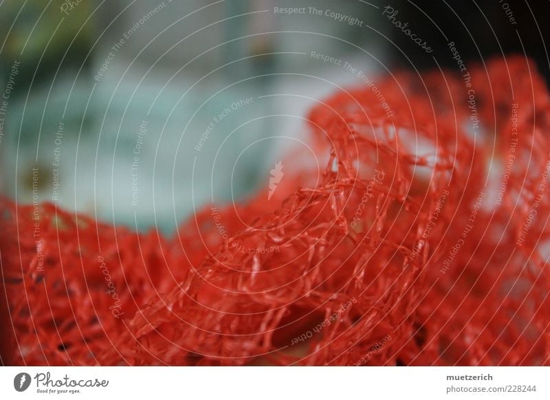 Netz Verpackung Kunststoffverpackung rot Menschenleer Unschärfe Textfreiraum netzartig durcheinander Farbfoto Nahaufnahme Starke Tiefenschärfe