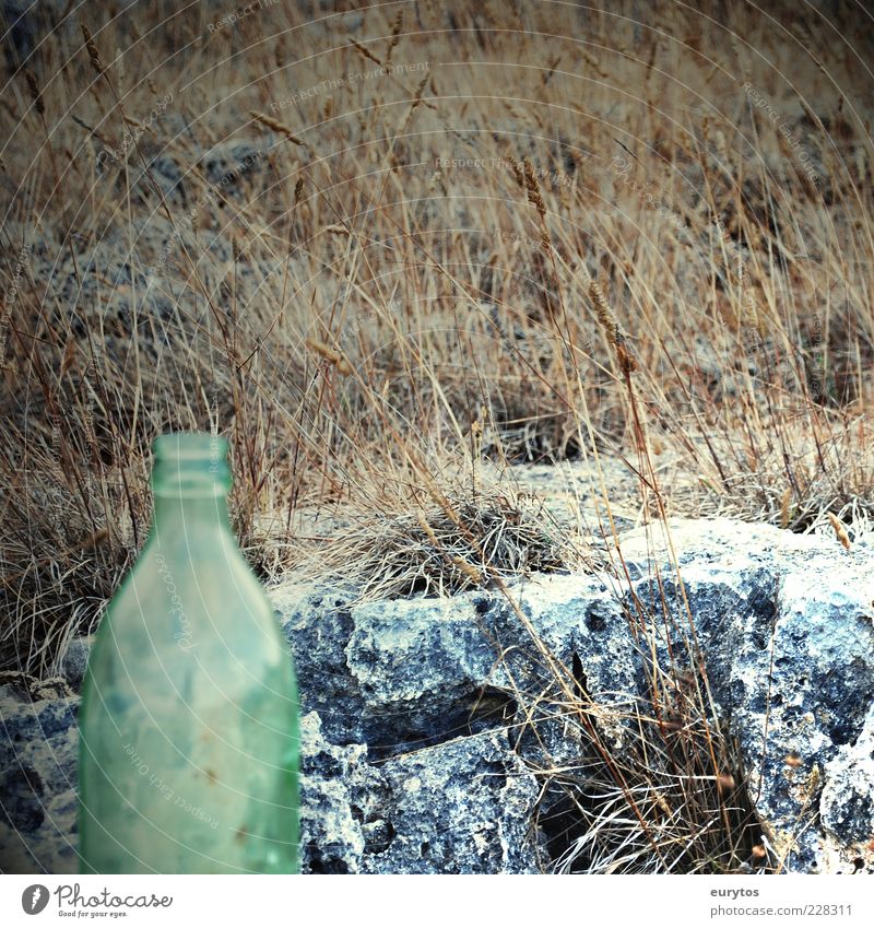Keine Cola in Angola! Stein Flasche Flaschenhals leer Grassteppe Farbfoto Außenaufnahme Detailaufnahme Textfreiraum rechts Tag Menschenleer Einsamkeit 1