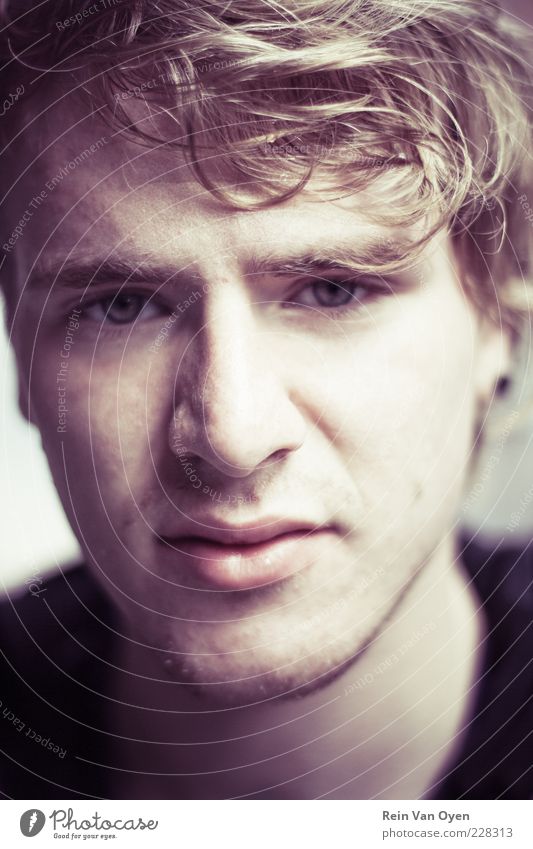 Porträt Mensch Junger Mann Jugendliche Gesicht 1 18-30 Jahre Erwachsene Pullover Haare & Frisuren brünett blond Locken Dreitagebart Blick trist braun gelb
