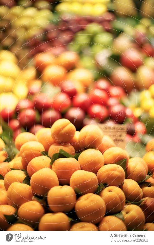 Aprikosen sind heute im Angebot.... Lebensmittel Frucht Pflaume Bioprodukte Gesundheit saftig süß mehrfarbig Vitamin Stapel Markt Marktstand orange