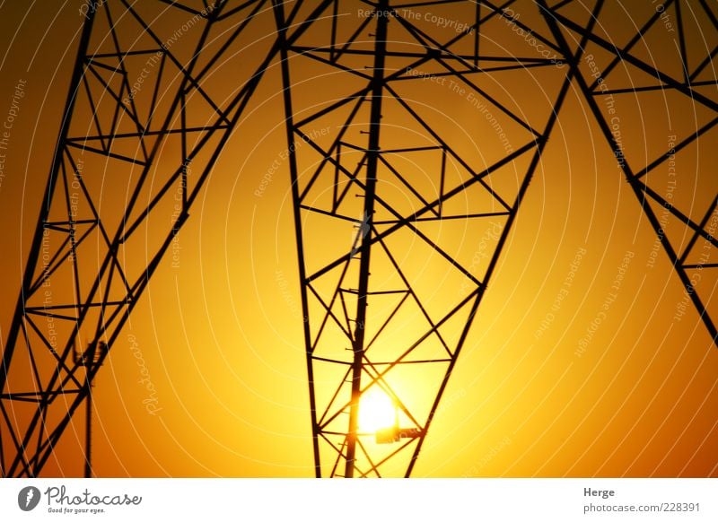 Energie Technik & Technologie Energiewirtschaft Umwelt Sonne gelb gold Farbfoto Tag Abend außergewöhnlich