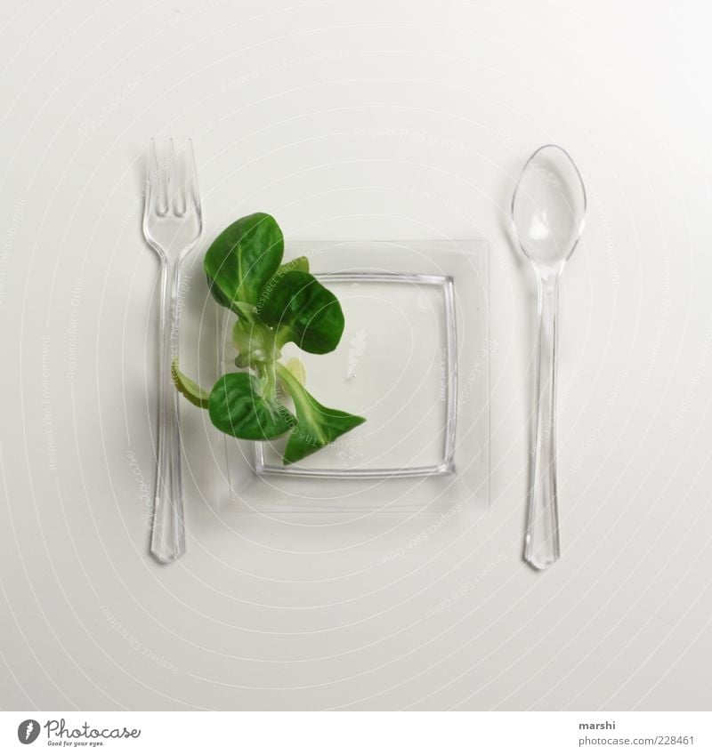Salatdiät Lebensmittel Salatbeilage Ernährung Picknick Bioprodukte Vegetarische Ernährung Diät Geschirr Teller Besteck Gabel Löffel Gesundheit grün weiß