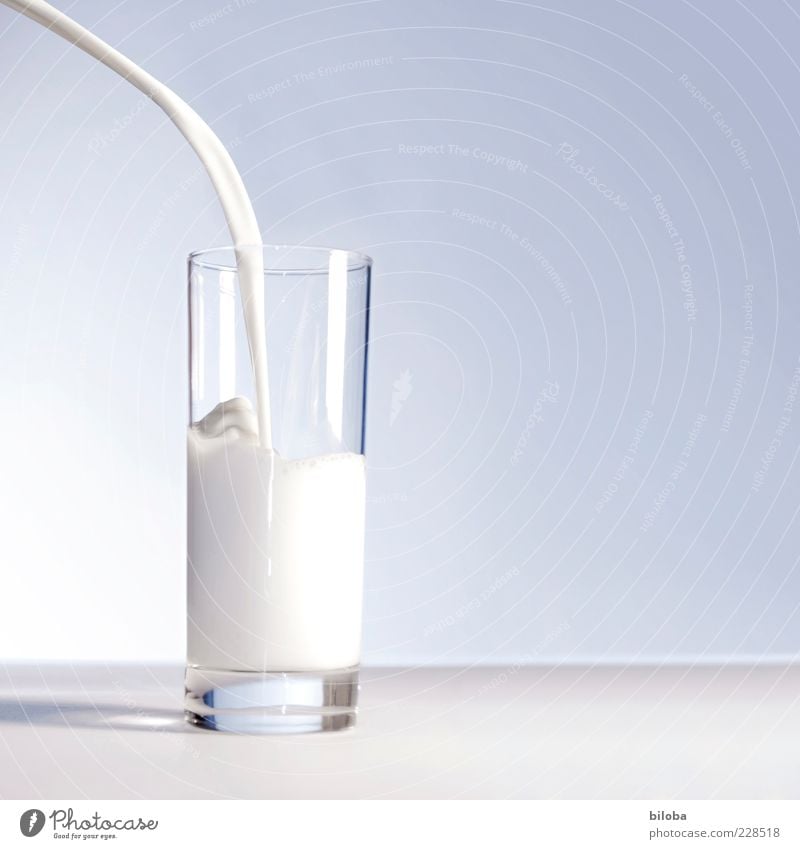 Milchbogen giessen Strahl Glas Milcherzeugnisse Getränk Gesundheit blau grau weiß ästhetisch Genauigkeit gießen eingießen liquide weich Flüssigkeit